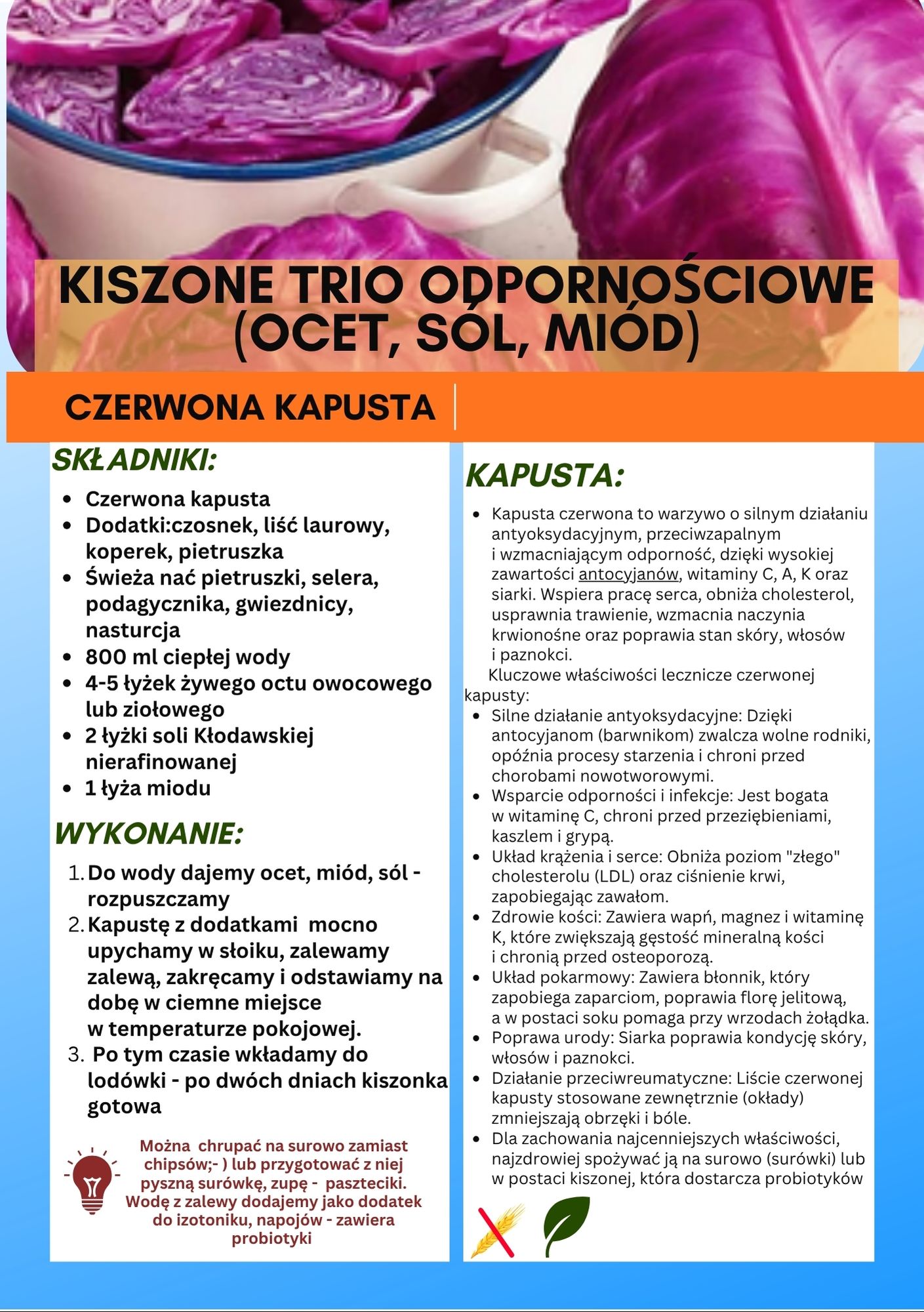 „Odżywcze Dziedzictwo Lokalnej Kuchni” – przewodnik kulinarno-zielarski (PDF) - obrazek 6